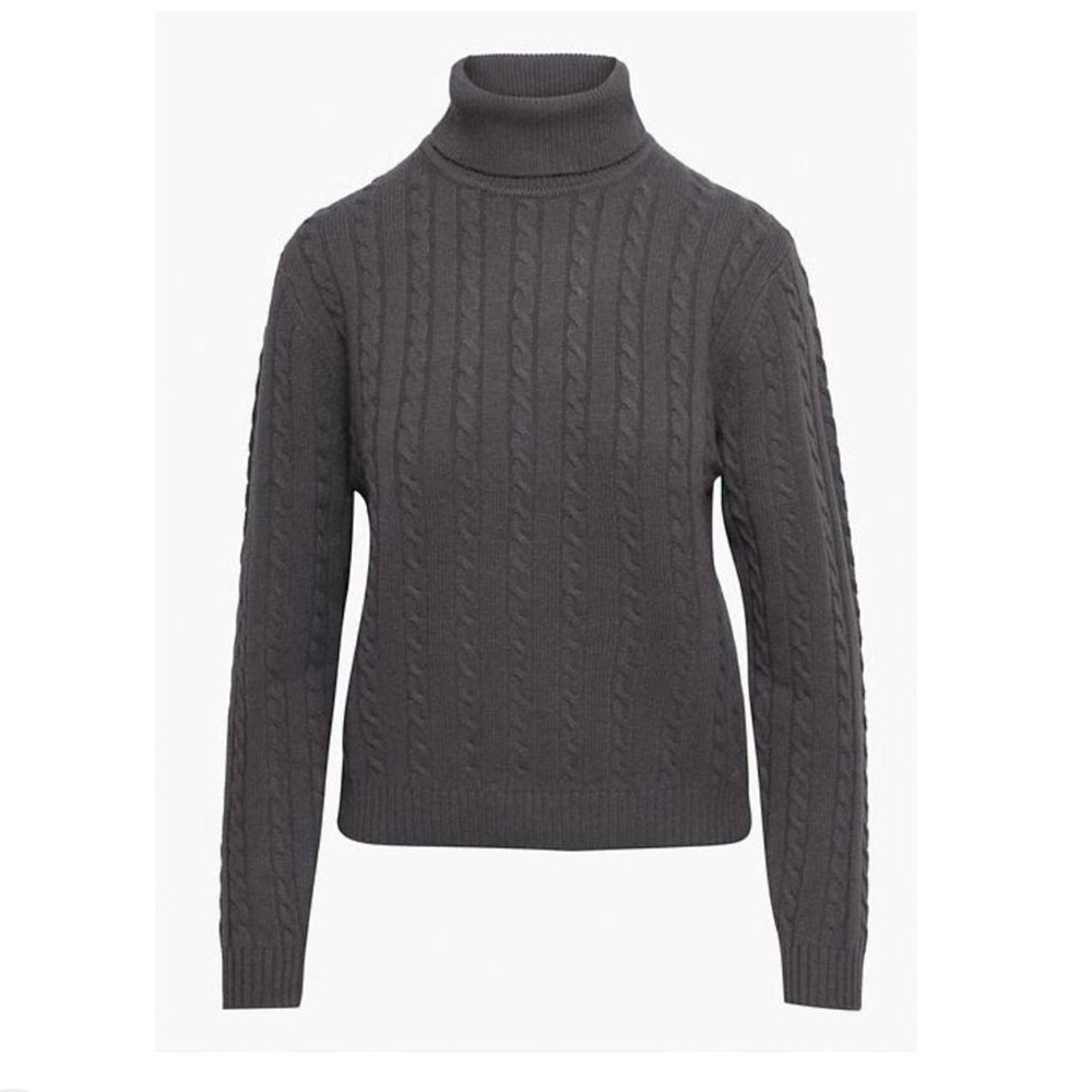 aritzia tna cashwool leonie turtleneck in the color echo grey (dark gray)
